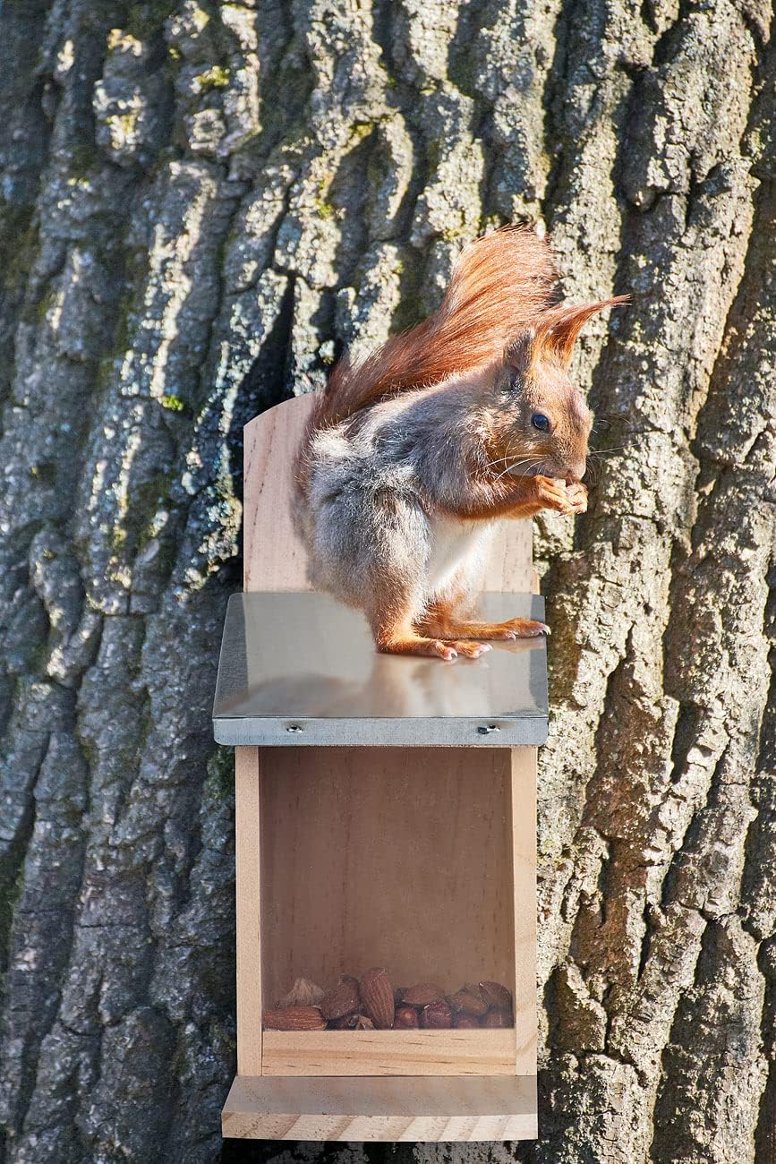 Royal Gardineer Eichhörnchenfutterhaus: 2er-Set Wetterfestes Futterhaus für Eichhörnchen, Metalldach