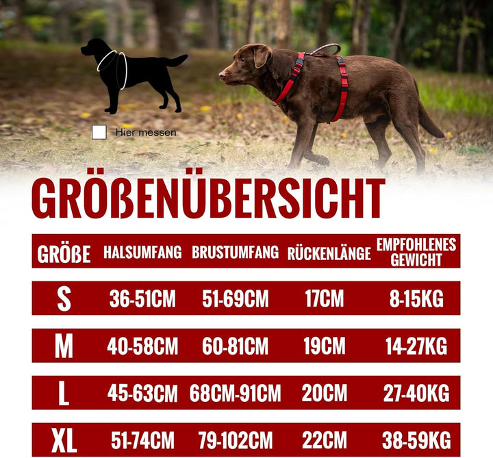Arblina Hundegeschirr, Ausbruchsicheres Antizuggeschirr für Kleine, Mittlere und Grosse Hunde, Hunde