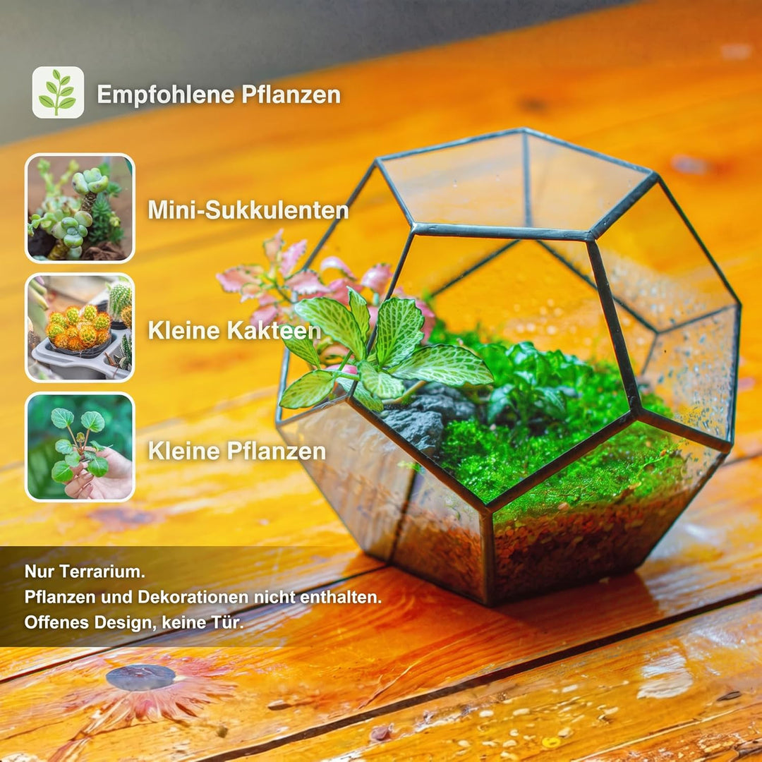 NCYP Handmade Blumentopf Transparentes fünfeckiges Dodekaeder Glas, Terrarium, auch für Sukkulenten,