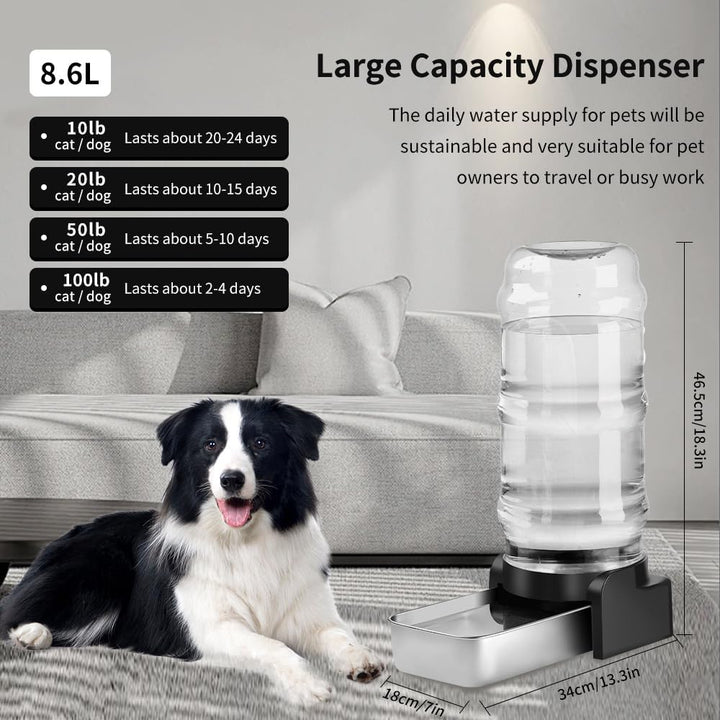 Marchul 8.6L Grosser Hund Wasserspender mit Tischset, Automatischer Wasserspender mit Edelstahl Wass