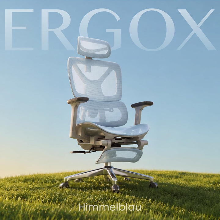 FLEXISPOT Ergonomischer Bürostuhl ErgoX Blau M2 (Blau), M2 (Blau)