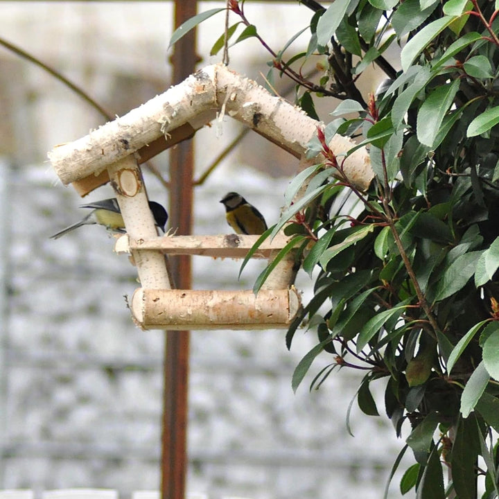 Handgefertigtes Premium Vogelhaus aus europäischem Birkenholz mit Strohdach - Naturfreundliches Desi