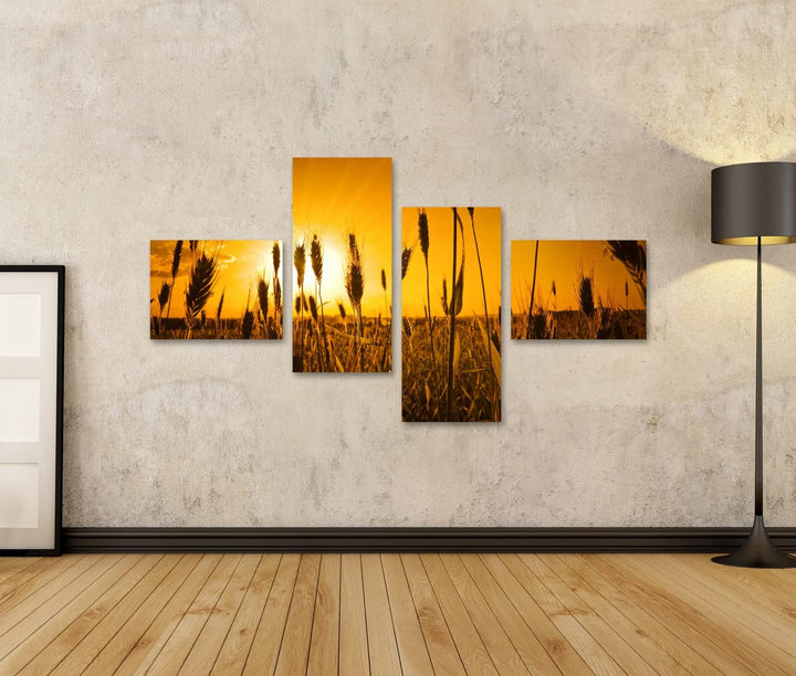 islandburner Bild auf Leinwand sonne landwirtschaft hintergrund brot getreide farbe mais dämmerung o