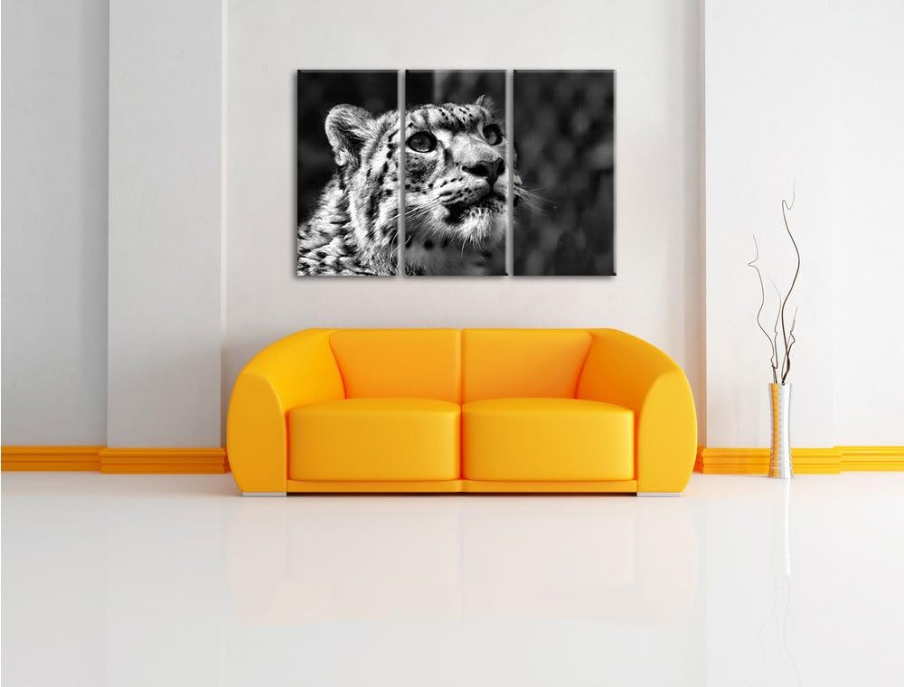 Pixxprint Leopard als Leinwandbild/Grösse: 3 Teilig (120x80) cm/Wandbild/Kunstdruck/fertig bespannt