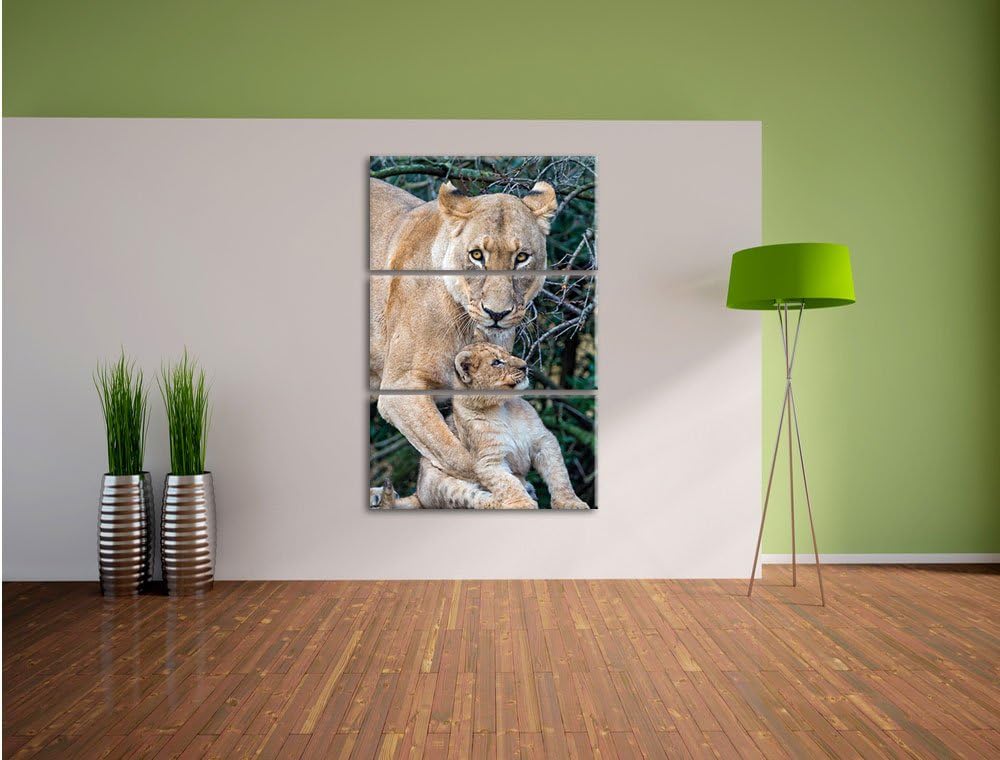 Pixxprint Löwin spielt mit Jungtier 3-Teiler Leinwandbild 120x80 Bild auf Leinwand