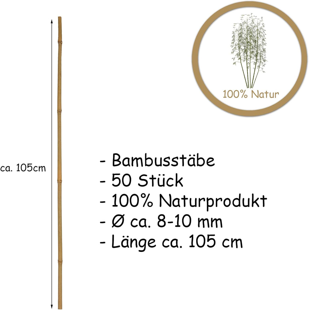 BigDean 50x Pflanzstab Bambusstab 105 cm x 8-10 mm Bambus Rankhilfe Pflanzstab Tonkinstab 100% Natur