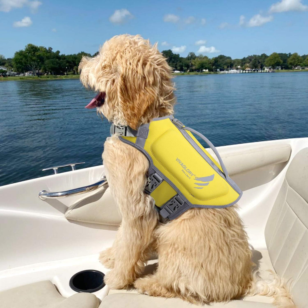 VIVAGLORY High Buoyancy Schwimmweste Hund, Rettungsweste, Hundeschwimmweste für Bootfahren, Schwimmh