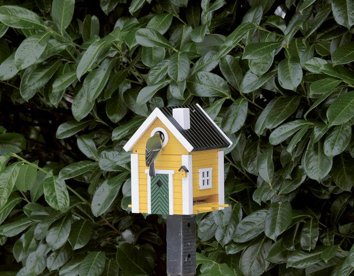 Wildlife Garden WG104 Multiholk Villa - Der Kombinierte Vogelfutterhaus und Nistkasten/Vogelhaus aus