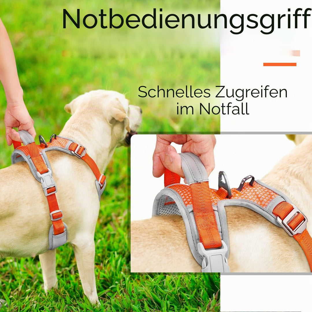 ThinkPet Anti-Zug Hundegeschirr Mit Griff - Leicht Zu Kontrollieren, Verstellbar Ohne Würgen, Reflek