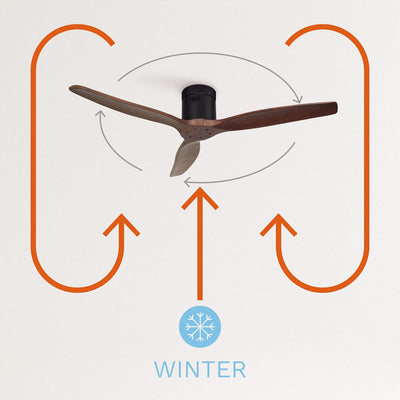 CREATE / WINDCALM/Deckenventilator mit Beleuchtung und Fernbedienung, schwarzer Sockel mit dunklen H