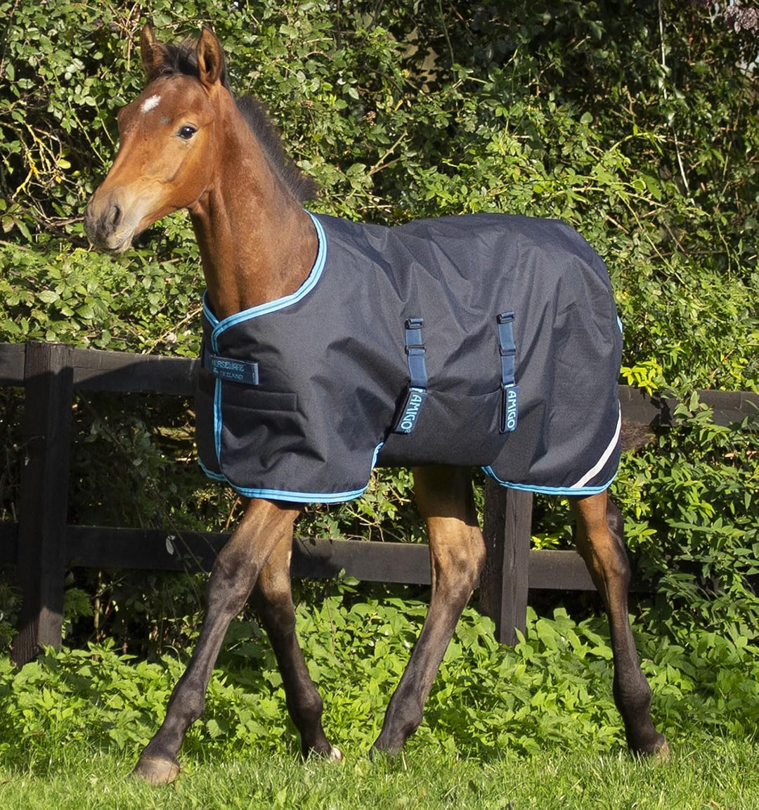 Horseware Outdoor-Decke für Pferde Amigo Foal Rug Marineblau/Blau 106 - 122 (85), Marineblau/Blau 10