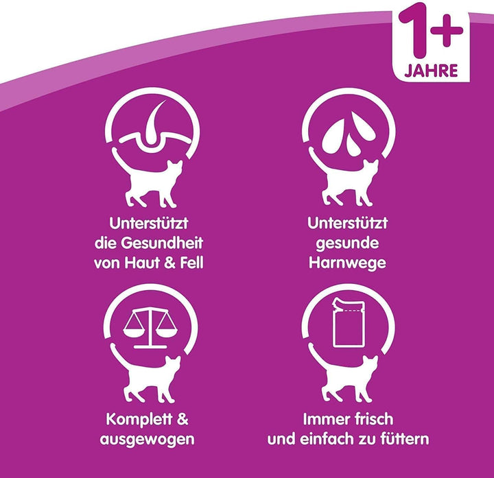 Whiskas 1 + Katzenfutter Ragout – Geflügel-Auswahl in Gelee – Abwechslungsreicher Geschmack durch ve