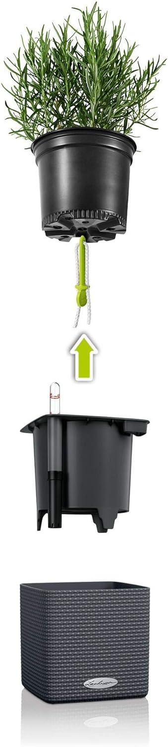 LECHUZA CUBE Color Green Wall Home Kit schiefergrau 13399 48x14x10 cm Schiefergrau, 48x14x10 cm Schi