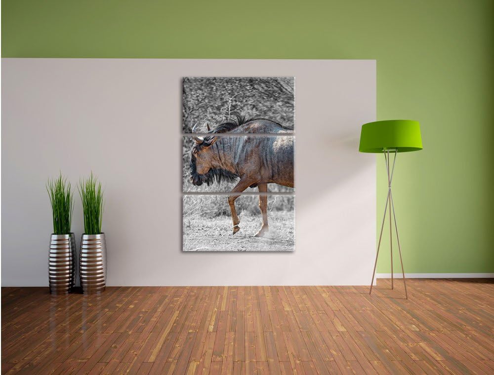 Pixxprint gigantische Kaffernbüffel in der Savanne schwarz/weiss 3-Teiler Leinwandbild 120x80 Bild a