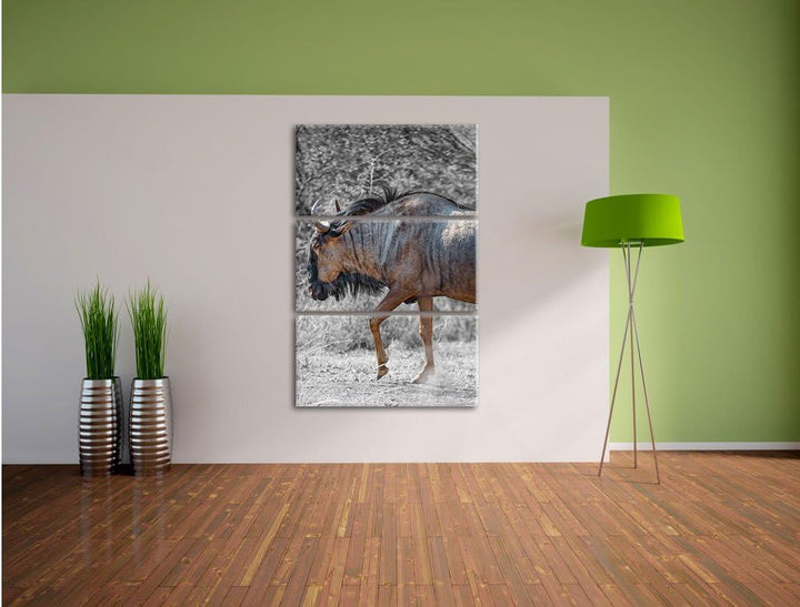 Pixxprint gigantische Kaffernbüffel in der Savanne schwarz/weiss 3-Teiler Leinwandbild 120x80 Bild a