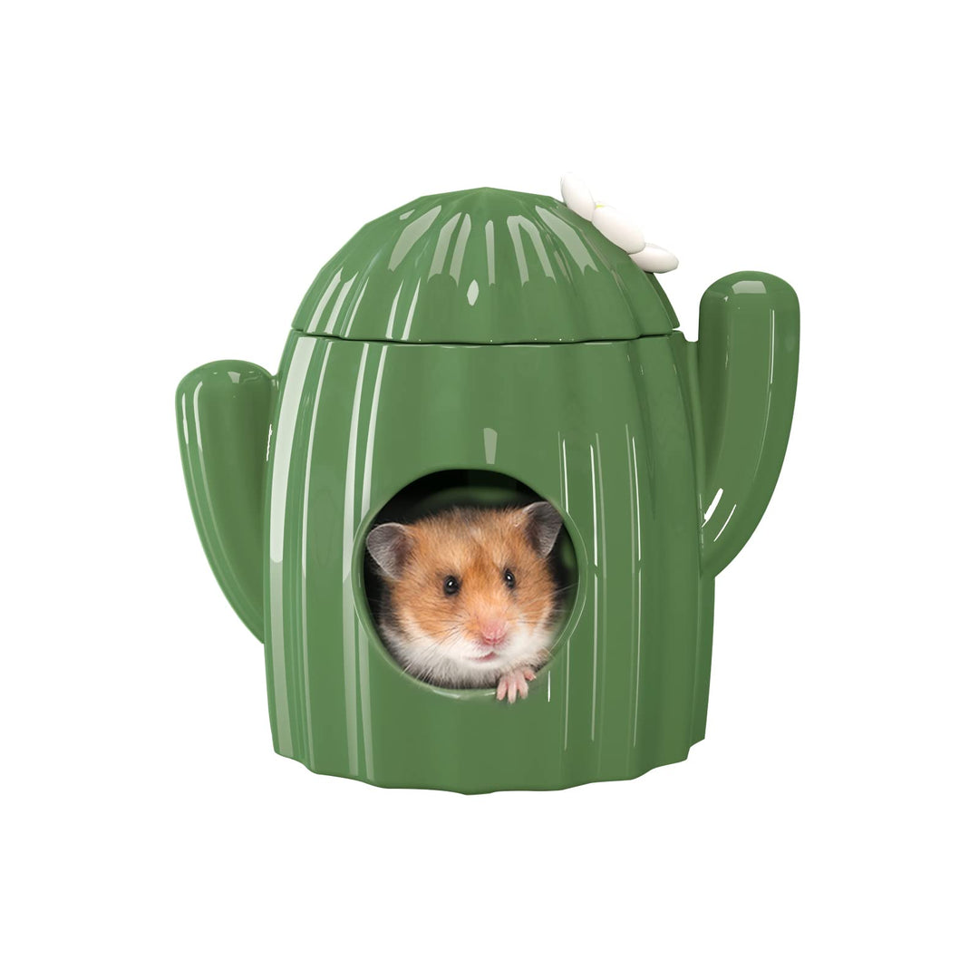BUCATSTATE Keramikhaus für Hamster, Kaubares Versteck Tunnel in Kaktusform Grossen Eingängen, Kühles