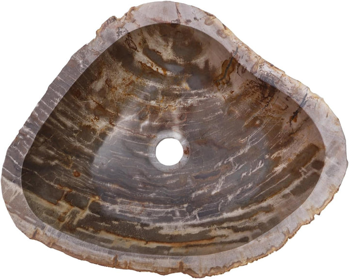 GURU SHOP Massives Fossiles Holz Aufsatz-Waschbecken, Waschschale, Naturstein Handwaschbecken - Mode