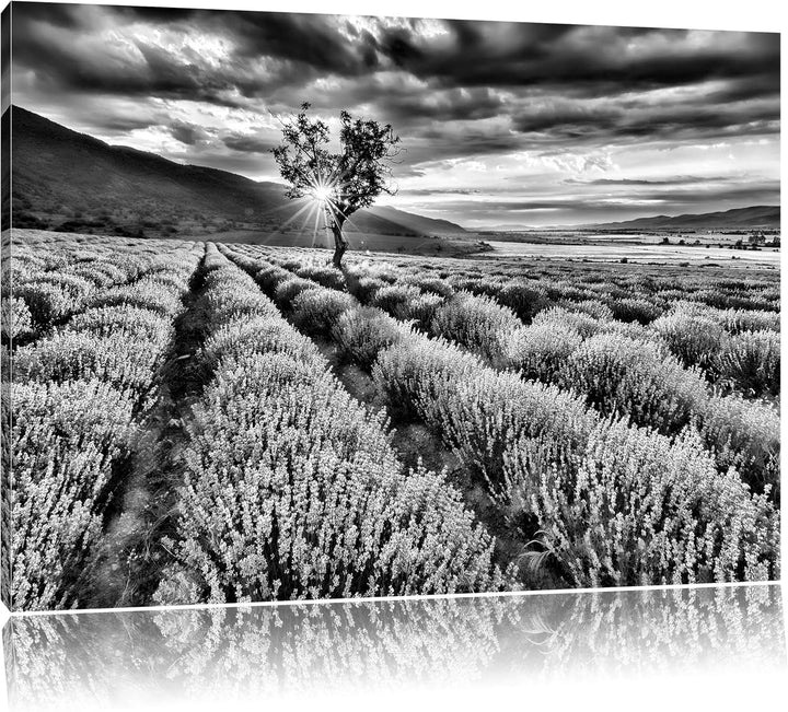 Pixxprint Lavendel Provence als Leinwandbild/Grösse: 100x70 / Wandbild/Kunstdruck/fertig bespannt, 1