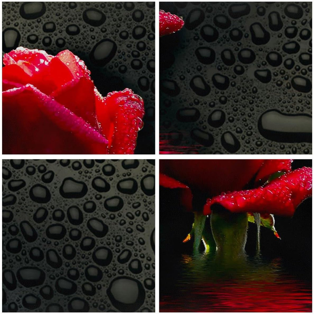 Panorama Bilder auf Leinwand Blume rote rose wasser tau Leinwandbild 90x30cm Wandbilder Dekoration W