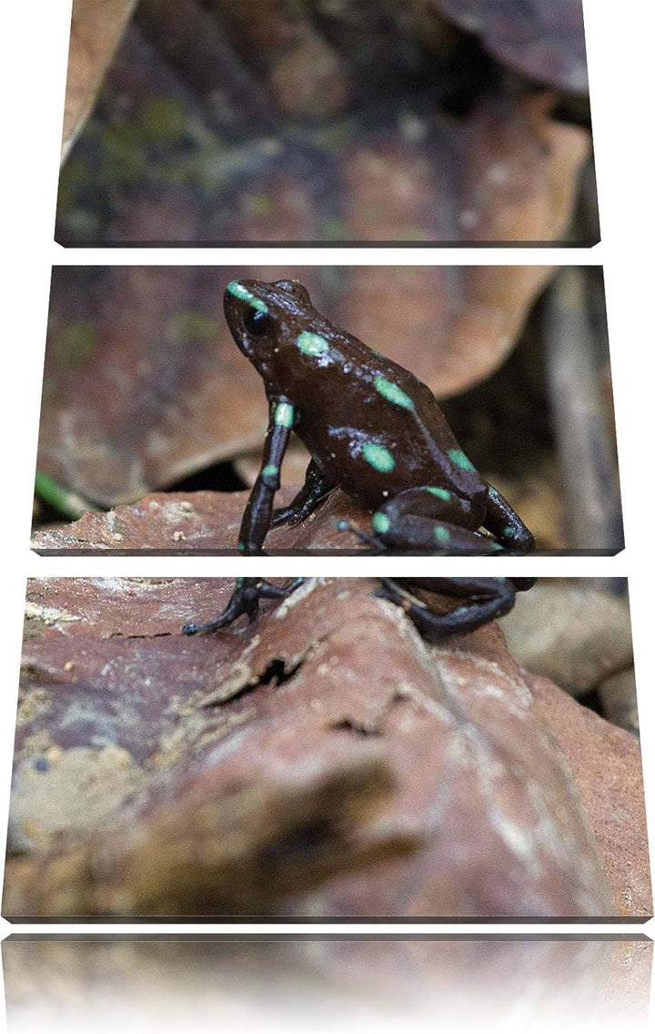 Pixxprint Baumsteiger Frosch als Leinwandbild/Grösse: 3 Teilig (120x80) cm/Wandbild/Kunstdruck/ferti