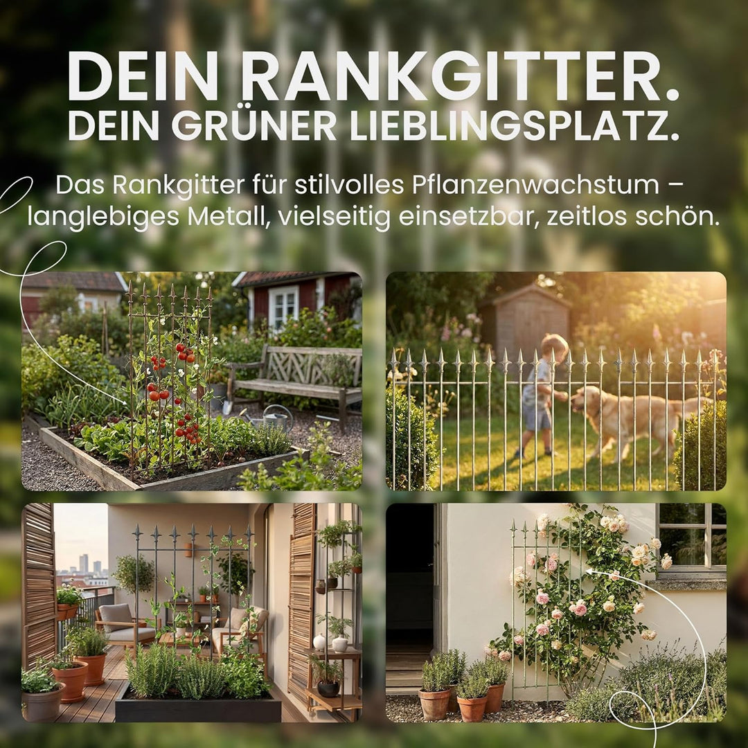CLP Rankgitter Metall 100x50 cm Elisa, Kletterhilfe stabil für Rosen und Efeu, Pflanzgitter im Jugen