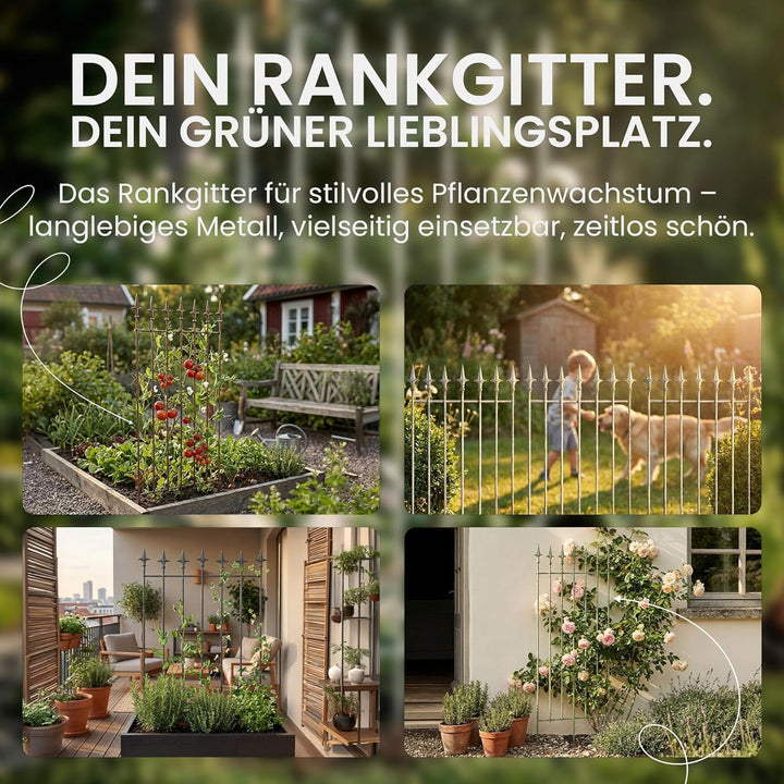 CLP Rankgitter Metall 100x50 cm Elisa, Kletterhilfe stabil für Rosen und Efeu, Pflanzgitter im Jugen