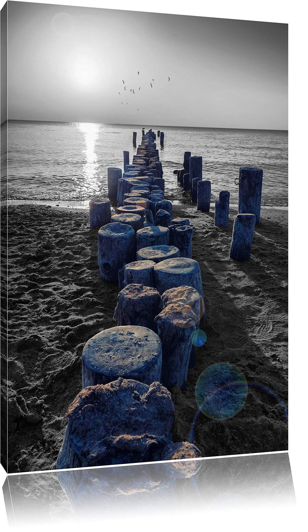 einzigartige Baumstümpfe am Meer schwarz/weiss Format: 100x70 auf Leinwand, XXL riesige Bilder ferti