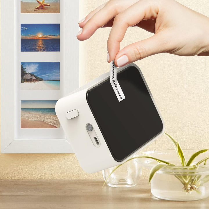 Pristar P15 Thermoband, 3 Rollen 14mm x 30mm, Transparent, 210 Etiketten/Rolle, Kompatibel mit P15 E