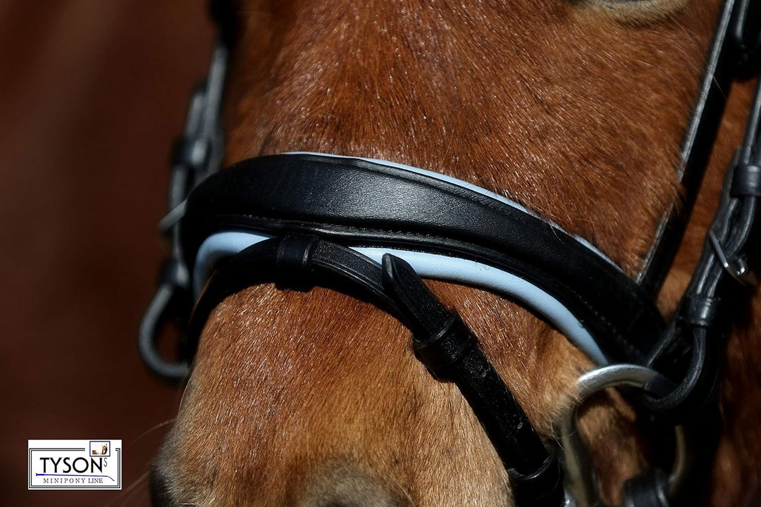 Trense Multi Minishetty Minishetty Rosa Hellblau zu wechseln ergonimisch geschnitten Ledertrense Led