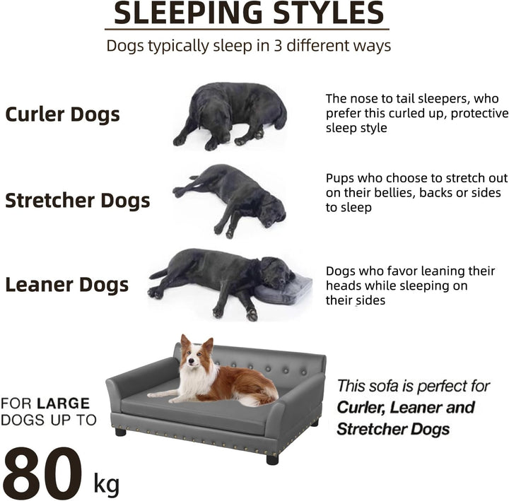 BingoPaw Luxus Hundesofa Grosse Hunde: Mordern Haustiersofa Mikrofaser Leder atmungsaktive wasserdic