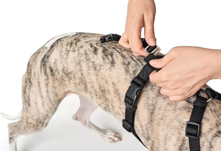 HUNTER Sicherheitsgeschirr VARIO RAPID, Panikgeschirr mit extra Bauchgurt, ausbruchssicher & verstel