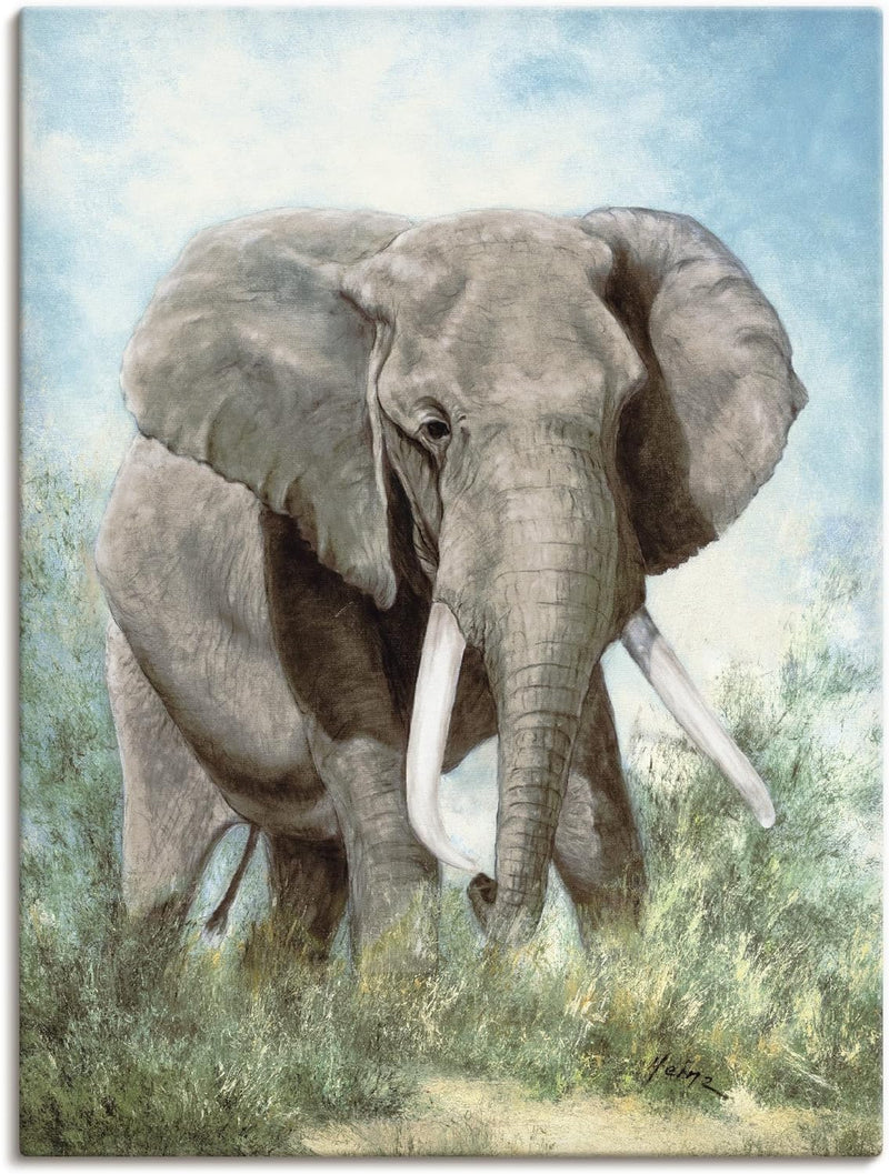 ARTland Leinwandbilder Wandbild Bild auf Leinwand 45x60 cm Tiere Elefant T4EI Elefant 45 x 60 cm, El