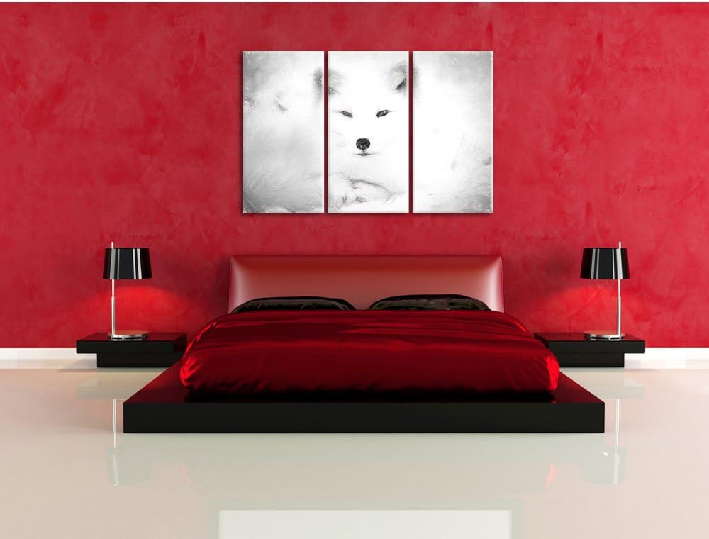 Pixxprint weisser Fuchs als Leinwandbild/Grösse: 3 Teilig (120x80) cm/Wandbild/Kunstdruck/fertig bes