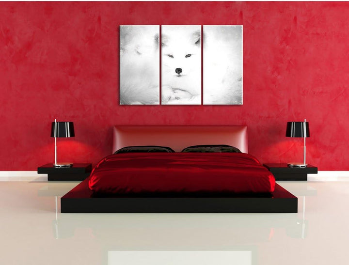 Pixxprint weisser Fuchs als Leinwandbild/Grösse: 3 Teilig (120x80) cm/Wandbild/Kunstdruck/fertig bes
