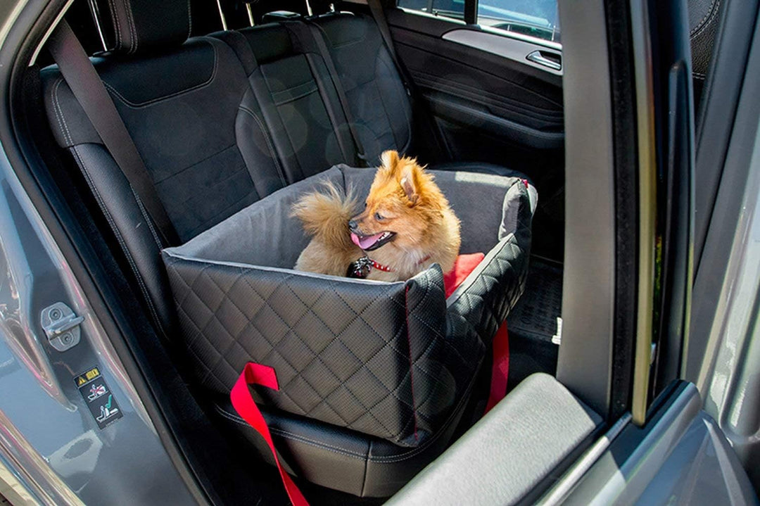 BOUTIQUE ZOO Exclusive Hunde Autositz | Autositz für Hunde, Katzen, Haustier | Rückbank, Beifahrersi
