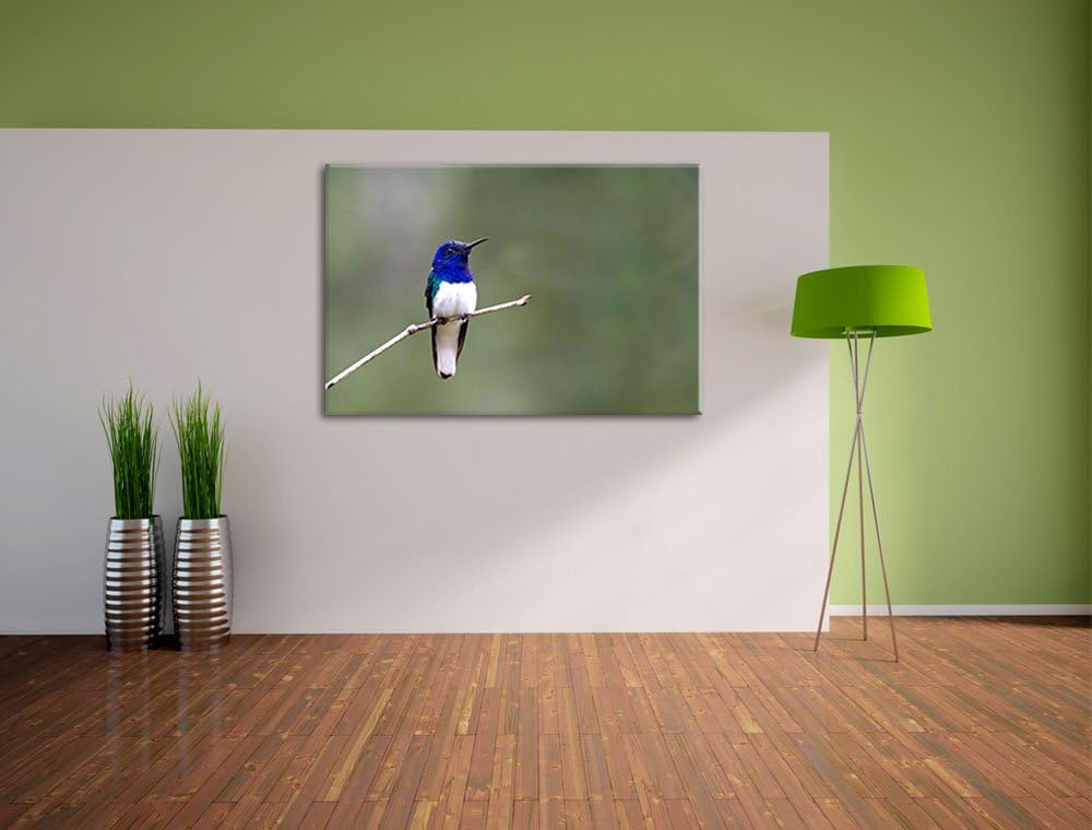kleiner farbenfroher Vogel Leinwand, XXL riesige Bilder fertig gerahmt mit Keilrahmen, Kunstdruck au