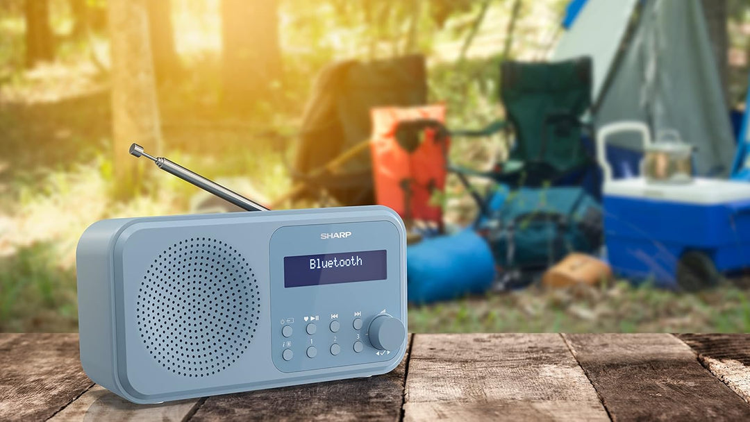 SHARP DR-P420 Portables Digitalradio (DAB/DAB+/FM mit RDS, USB, Bluetooth 5.0, 3,5mm Klinke Wecker-F