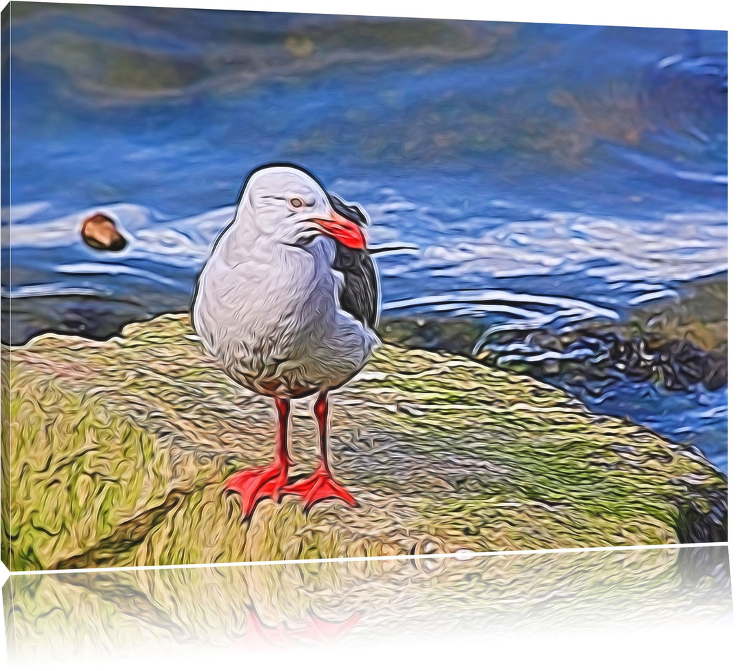 kleine Möwe auf Felsbrocken Deluxe Format: 100x70 cm auf Leinwand, XXL riesige Bilder fertig gerahmt