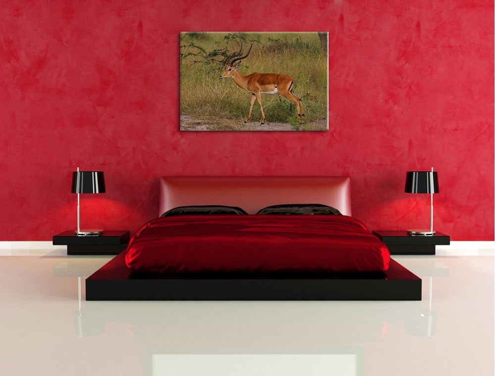 Dorkasgazelle in der Savanne Leinwand, XXL riesige Bilder fertig gerahmt mit Keilrahmen, Kunstdruck