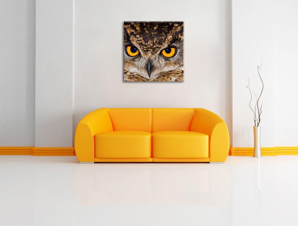 Eule mit gelben Augen, Format: 70x70 auf Leinwand, XXL riesige Bilder fertig gerahmt mit Keilrahmen,
