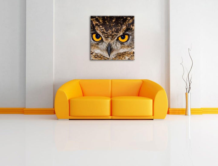 Eule mit gelben Augen, Format: 70x70 auf Leinwand, XXL riesige Bilder fertig gerahmt mit Keilrahmen,