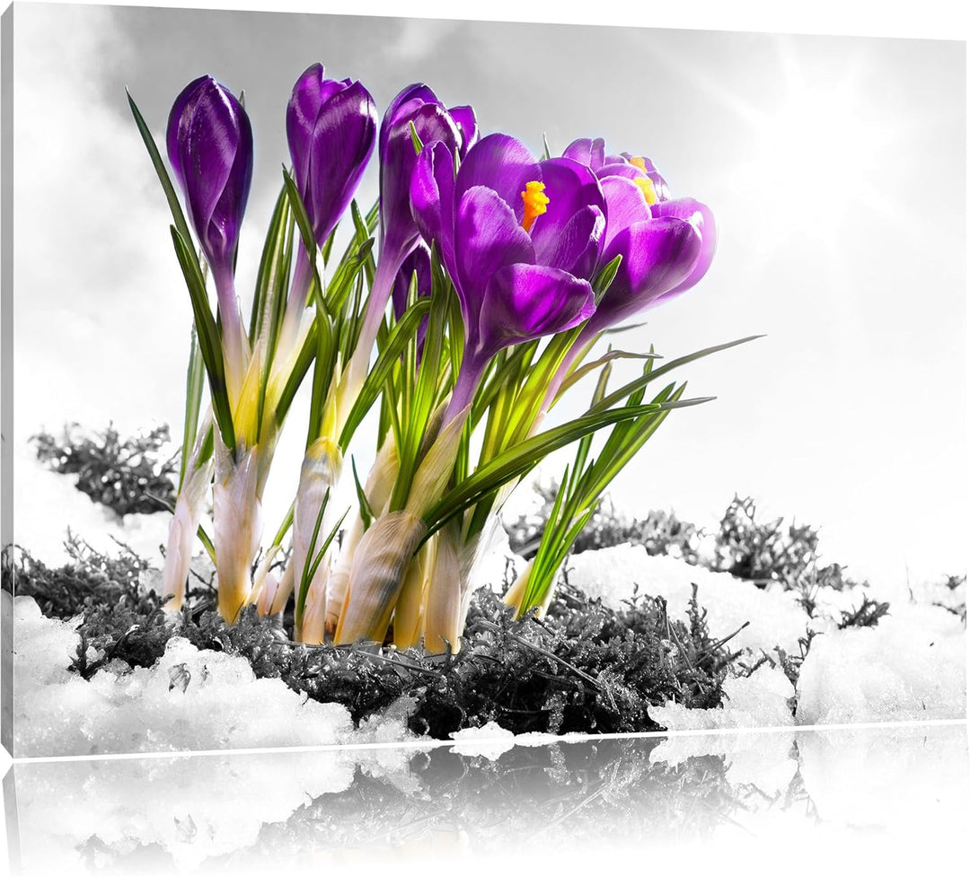 Pixxprint Kunst Frühling florwer Hintergrund als Leinwandbild/Grösse: 100x70 cm/Wandbild/Kunstdruck/