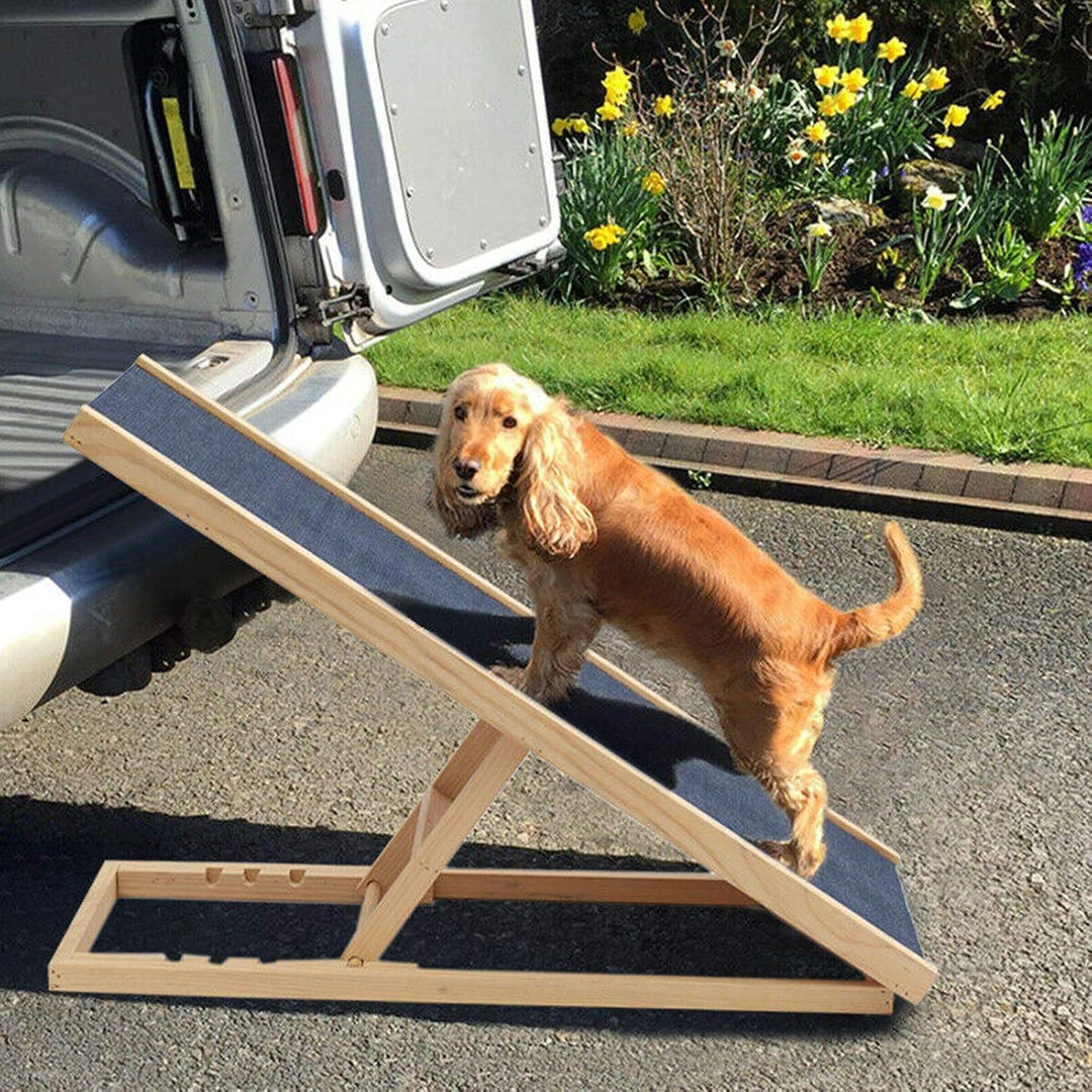 DayPlus Hunderampe, Hunderampe für Auto Bett Sofa, Auto Rampe für Hund, Anti-Rutsch Teppich, Haustie