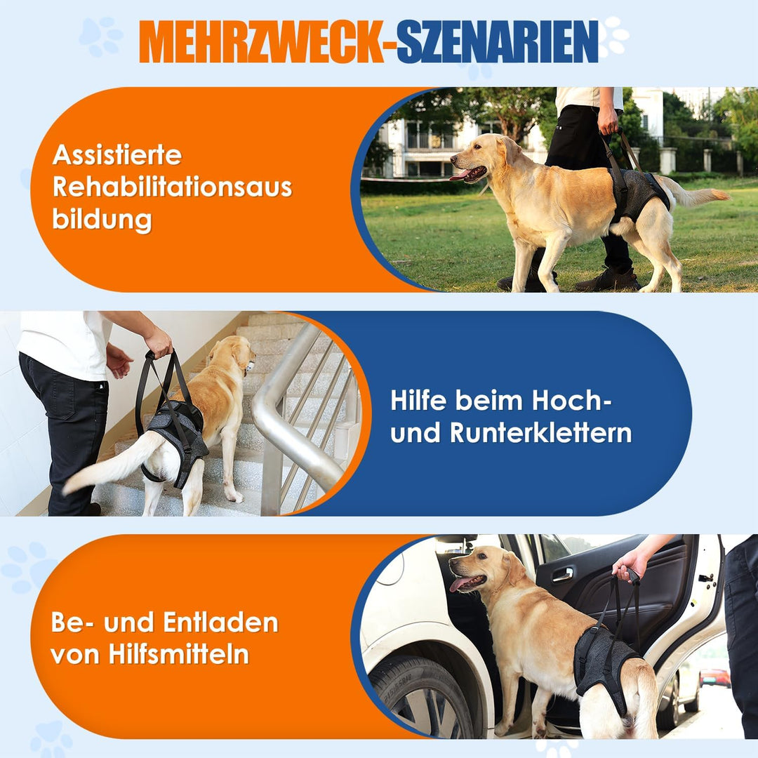 Tragehilfe für mittelgrosse grosse Hunde, Tragetasche Hund mit verstellbarem Hinterbein-Stützgurt fü