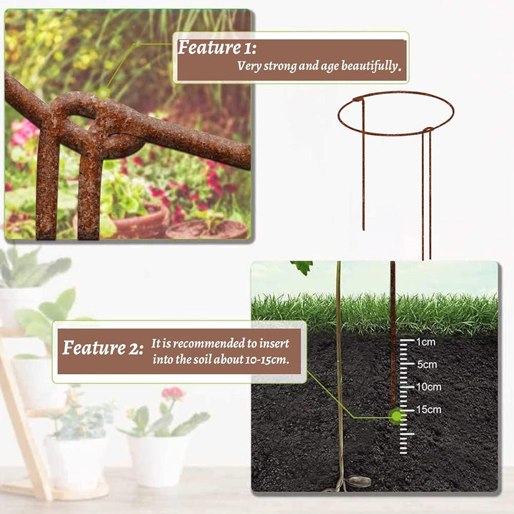 KAZITOO 6 Stück Grosse 60cm hohe Rostige Bogen-Pflanzenstütze, halbrund Rost-Blumenstütz-Ringkäfig-R
