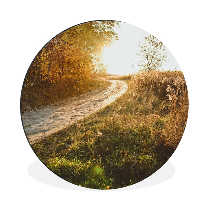 MuchoWow Wandbild Rund Wanddeko Deko Wohnzimmer Bilder 90x90 cm Weg - Natur - Baum, 90x90 cm