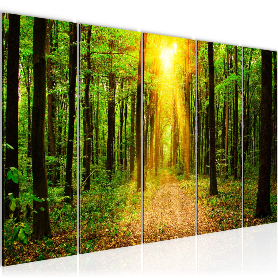 Runa Art Bild Wald Landschaft Wandbilder auf Vlies Leinwand 5 Teilig Wanddekoration Schlafzimmer Woh