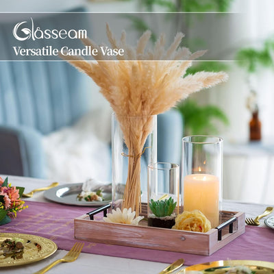 Glasseam Deko Vase Glas Zylinder Tischdeko 3 Stück/Satz Blumen Vasen Set Modern Glasvase Rund Glaszy