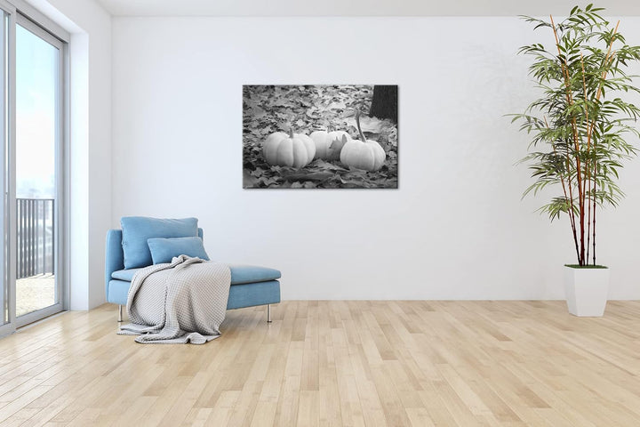 deyoli Herbstliche Kürbise Effekt: Schwarz&Weiss Format: 120x80 als Leinwandbild, Motiv fertig gerah