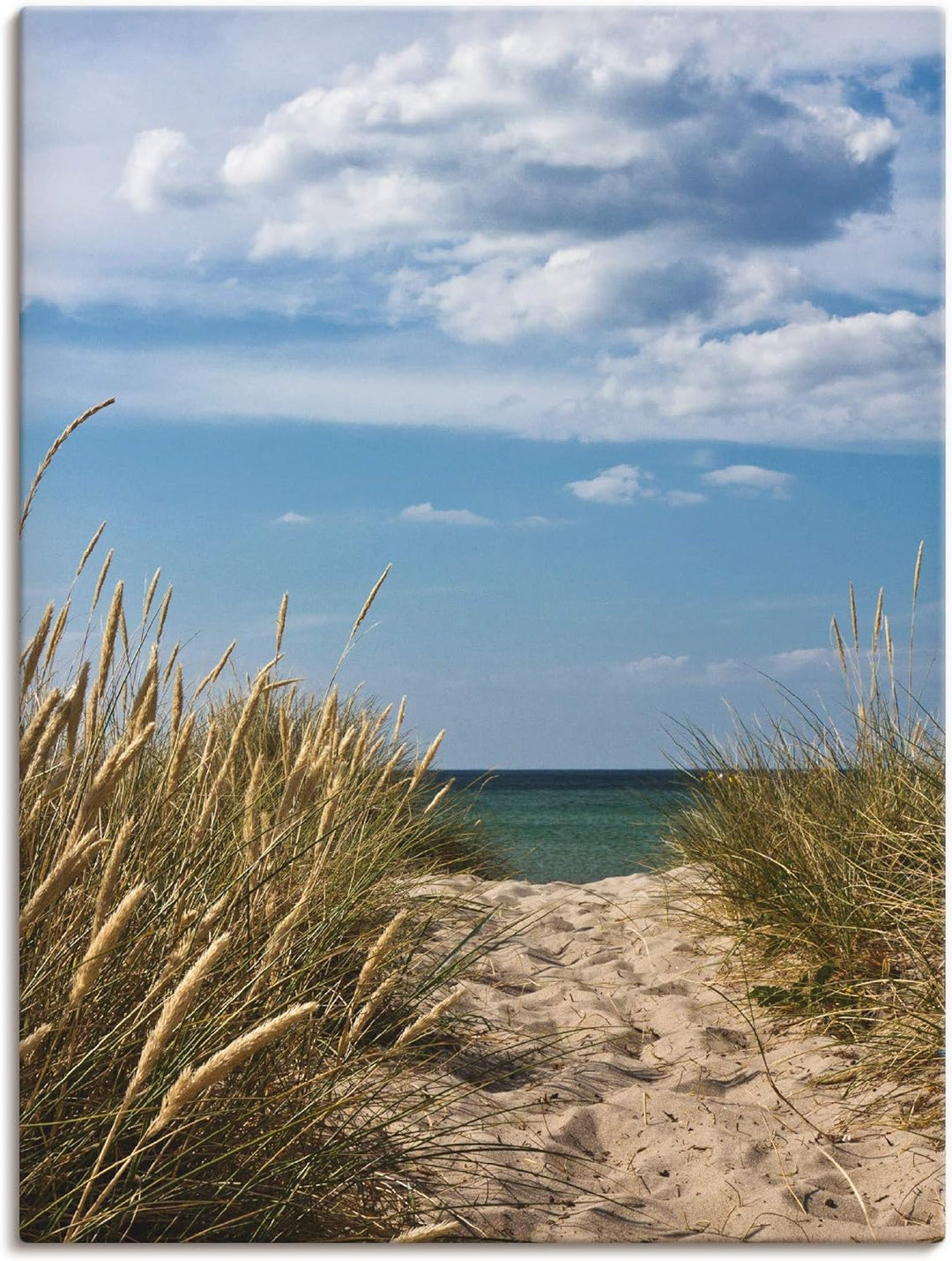ARTland Leinwandbilder Wandbild Bild auf Leinwand 45x60 cm Wanddeko Strand Meer Küste Düne Gräser Hi